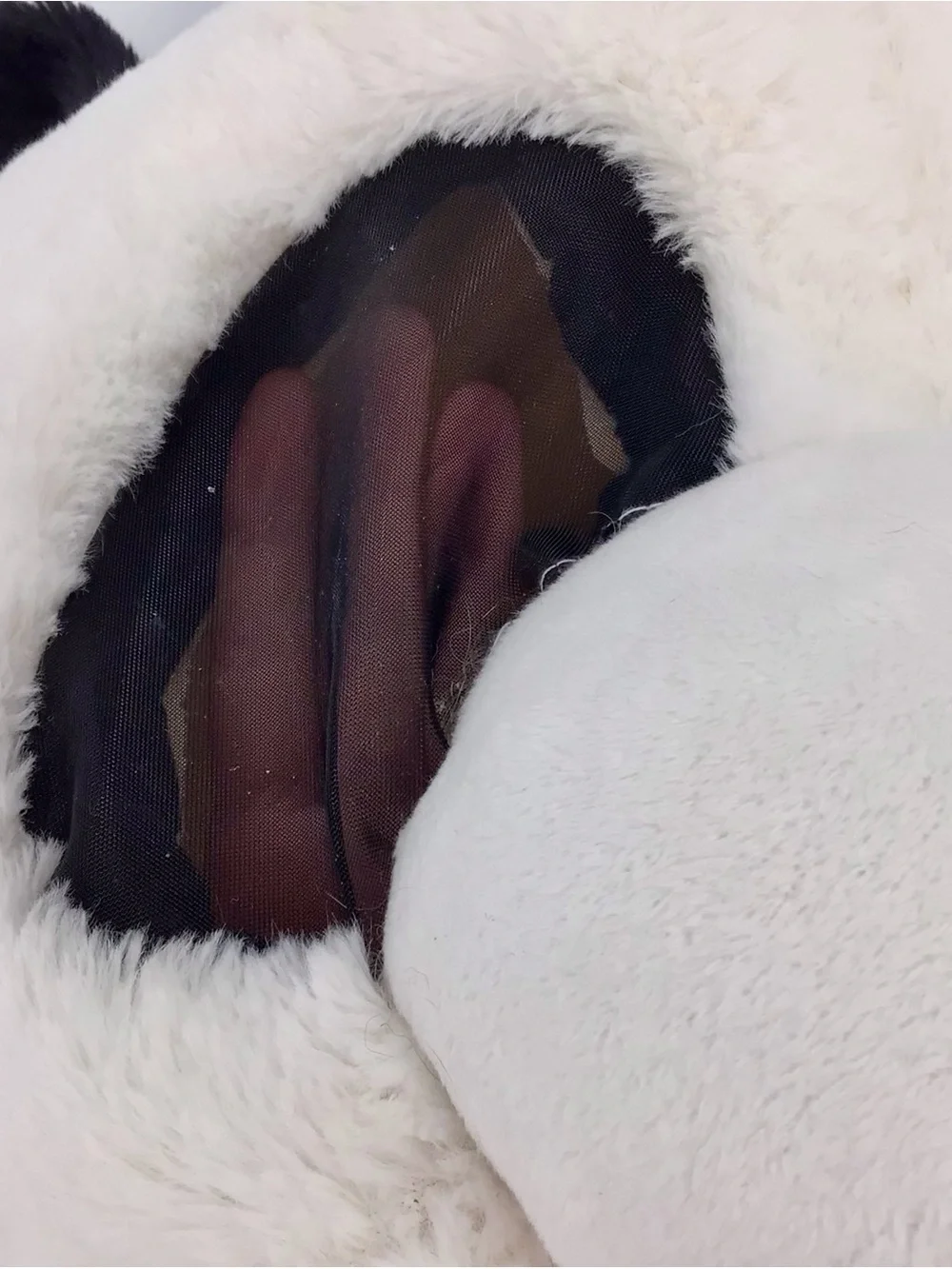 DanDee Jumbo Panda Bear Big Greeter Head